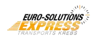 Euro-Solutions Express logo